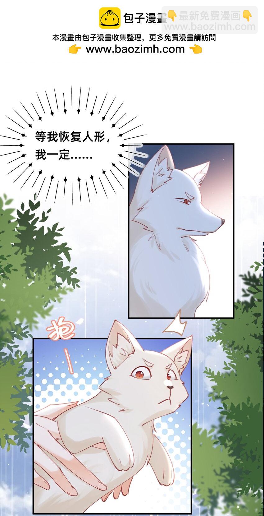 014 变回人形-第14话