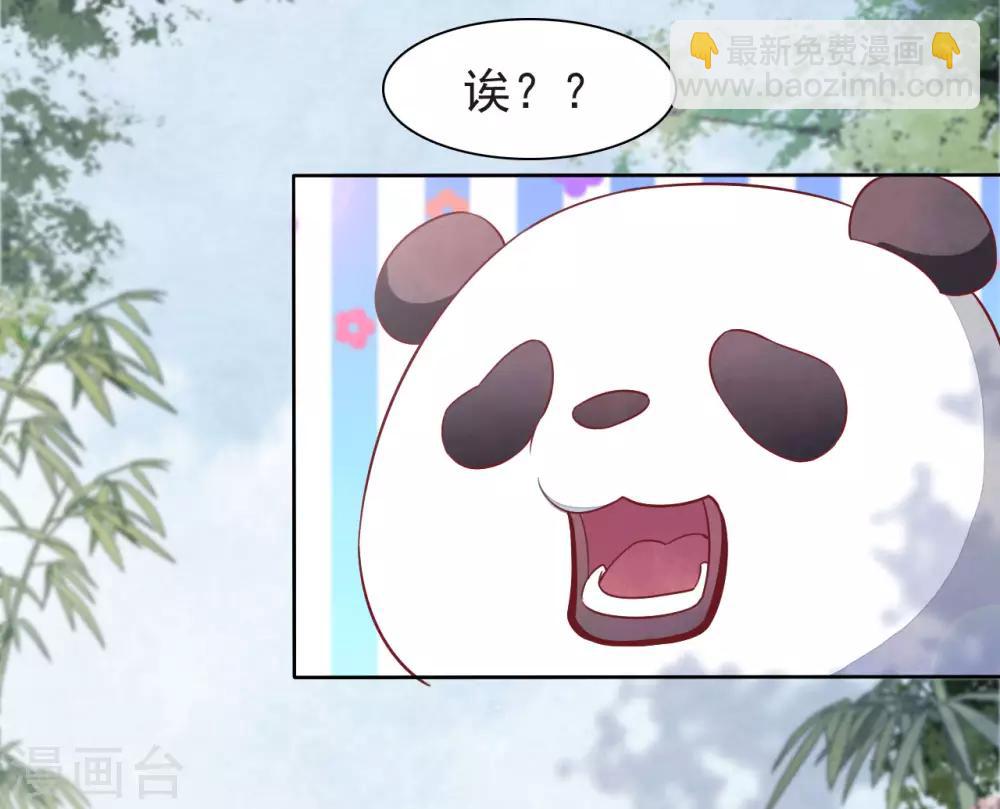 第1话1 我变成熊猫了？！(1/2)-第2话