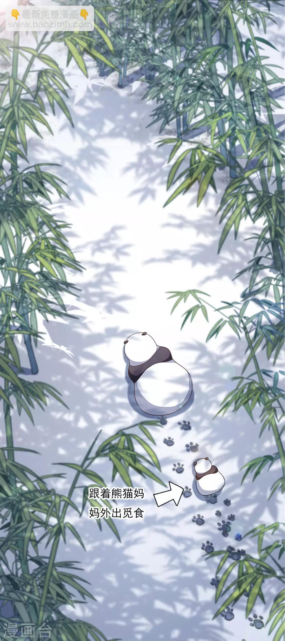 第1话1 我变成熊猫了？！(1/2)-第2话