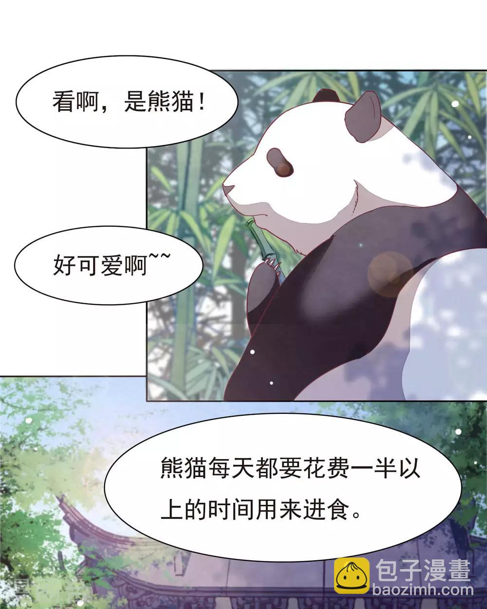 第1话1 我变成熊猫了？！(1/2)-第2话