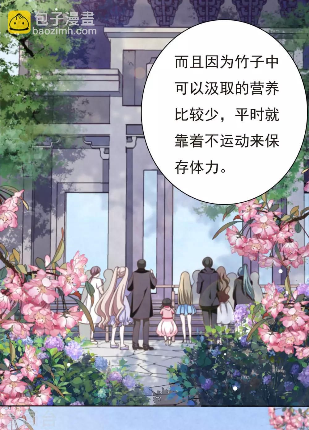 第1话1 我变成熊猫了？！(1/2)-第2话