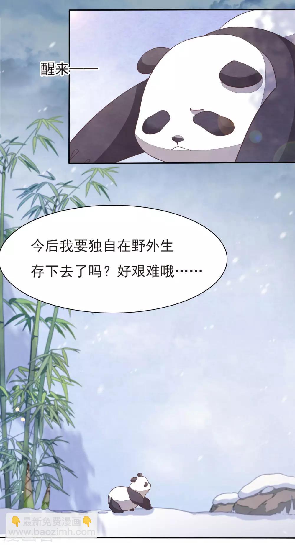 第1话1 我变成熊猫了？！(1/2)-第2话