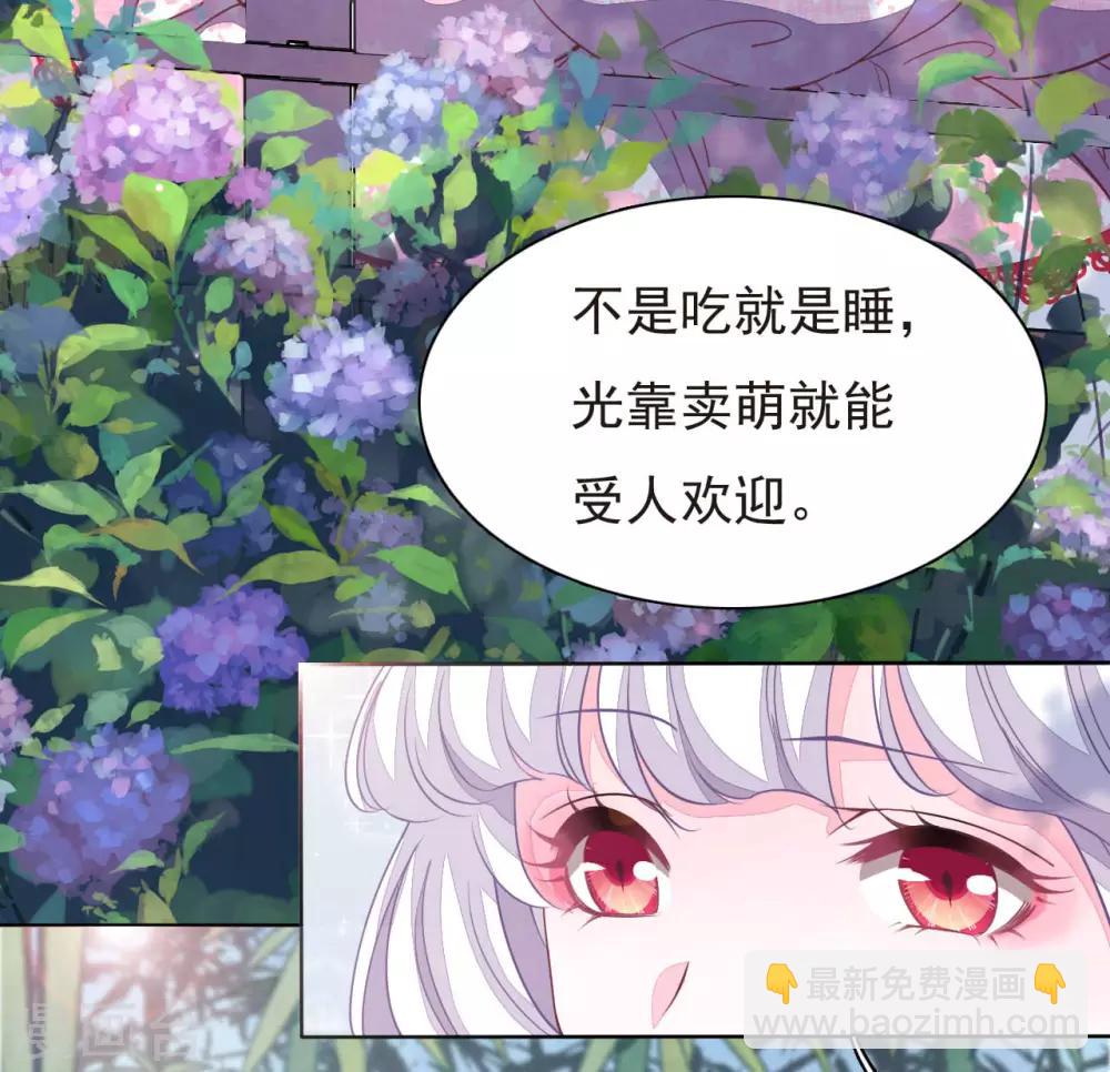 第1话1 我变成熊猫了？！(1/2)-第2话