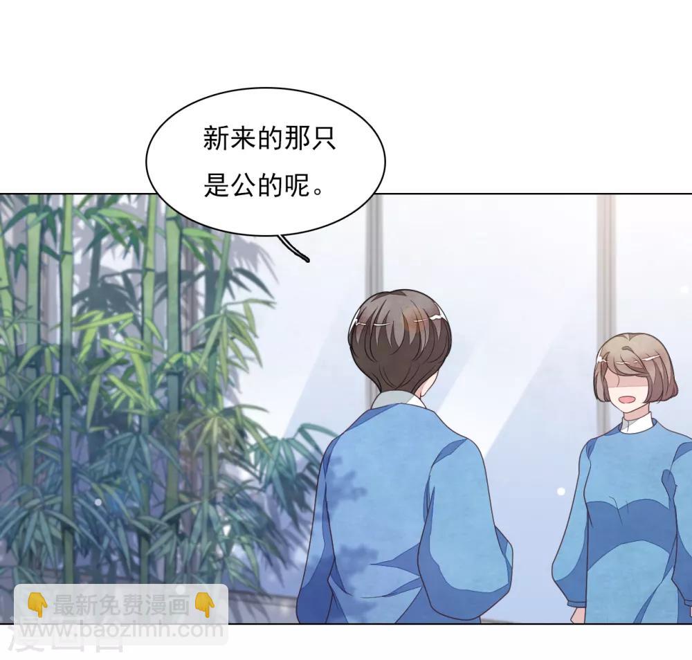 第130话 是她！-第142话