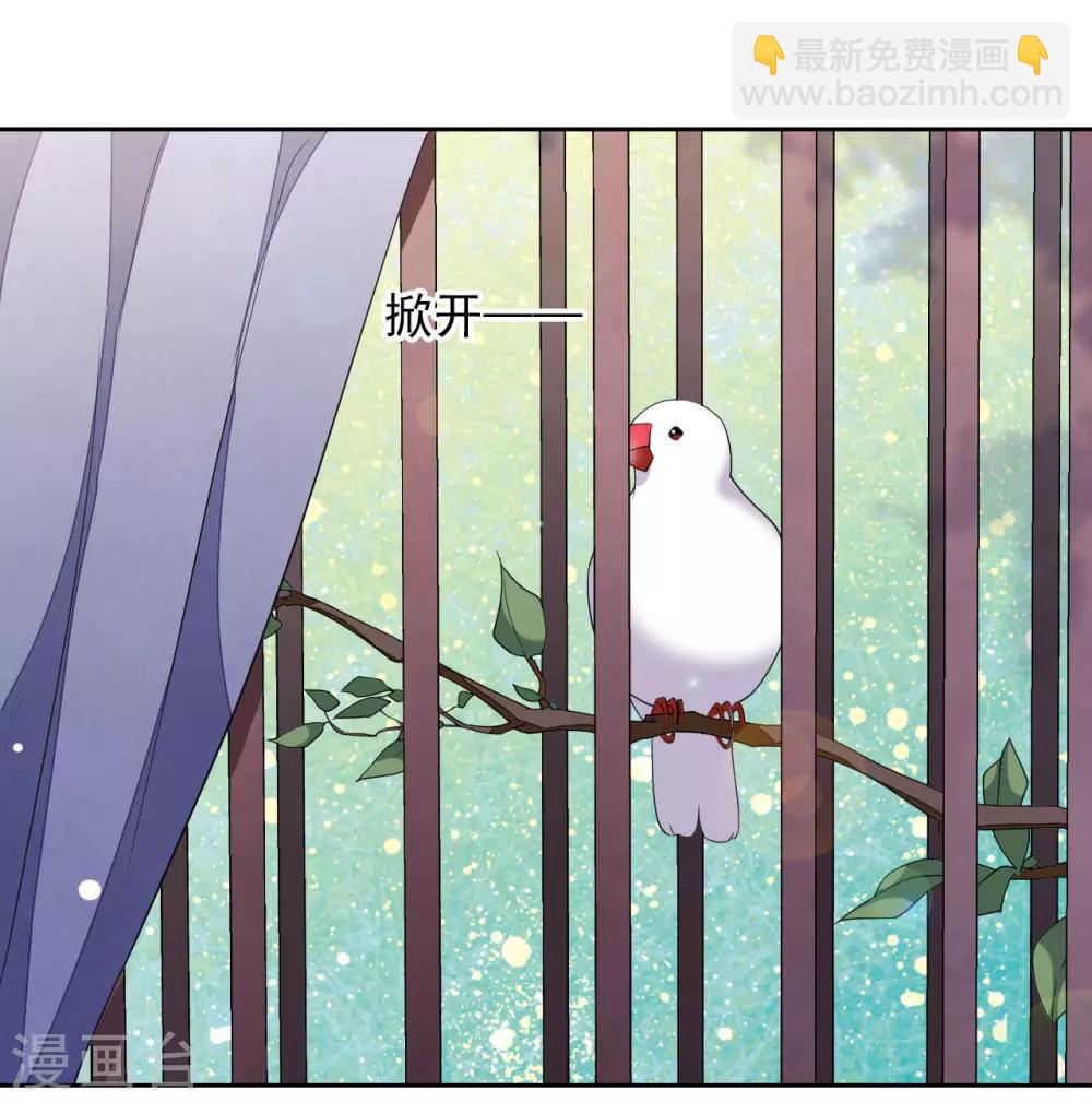 第35话 笼中鸟1-第44话