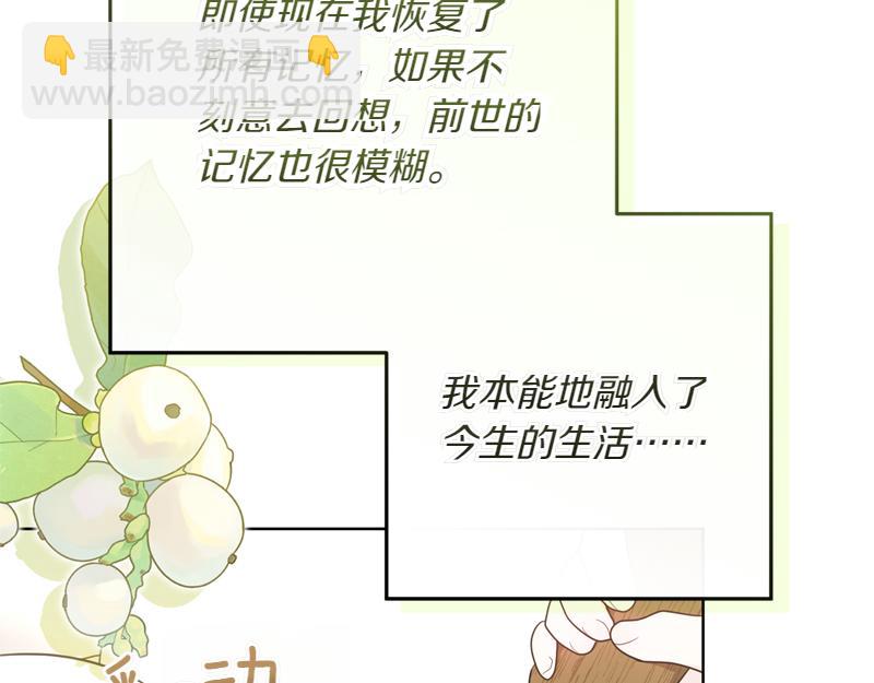 穿書成爲爸爸的掌上明珠 - 第2話 路人甲的生活(1/4) - 3