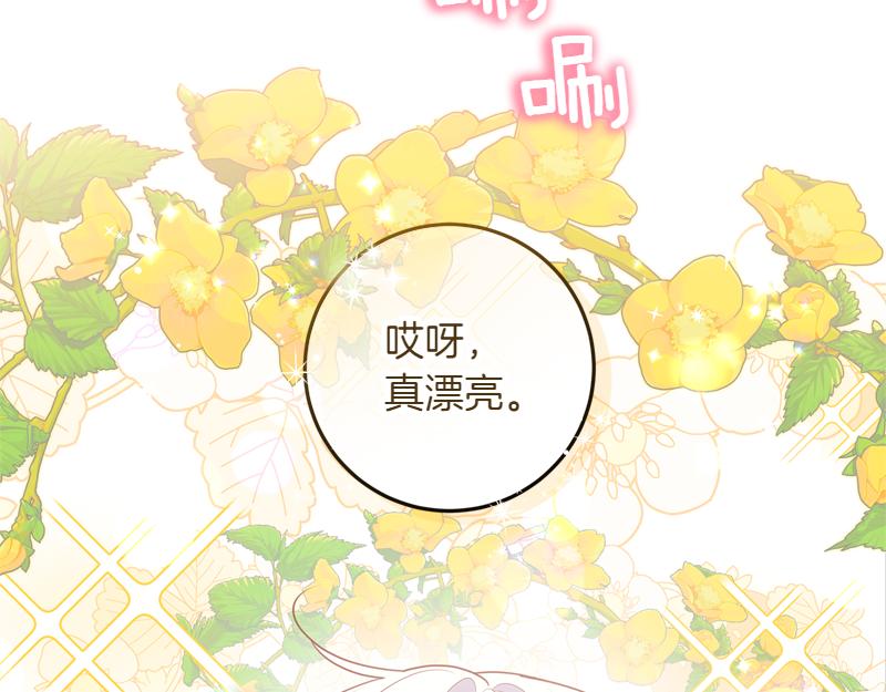 穿書成爲爸爸的掌上明珠 - 第2話 路人甲的生活(1/4) - 3