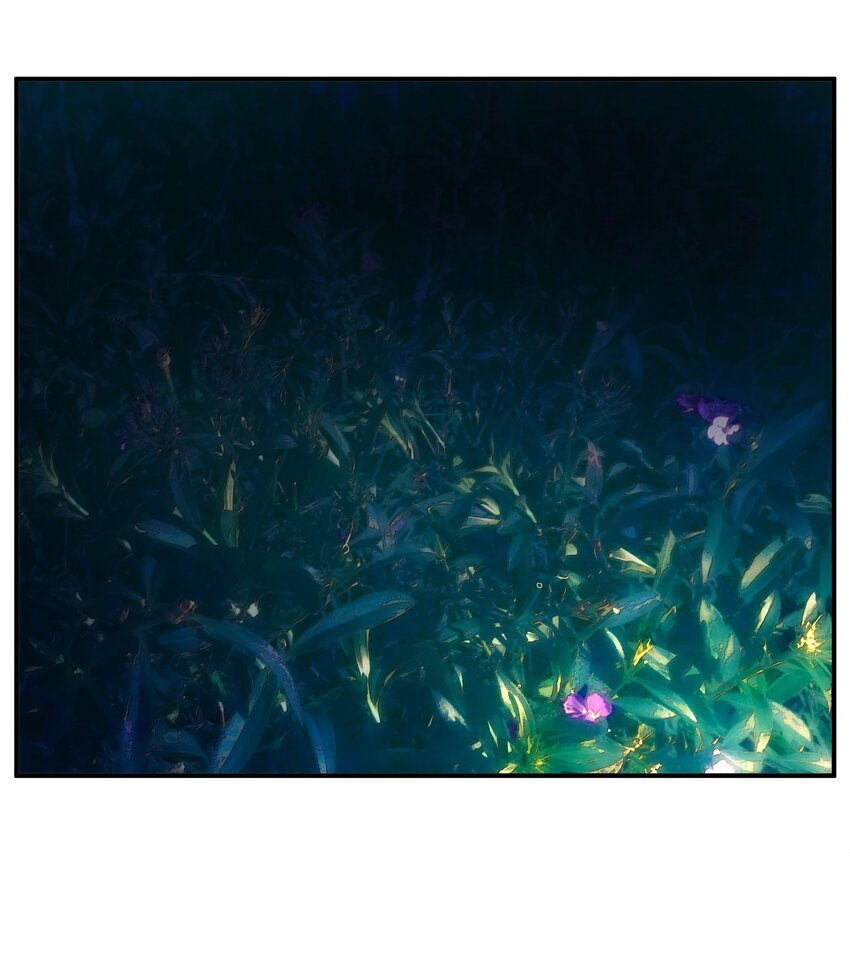 039 不装了，摊牌了(1/2)-第40话