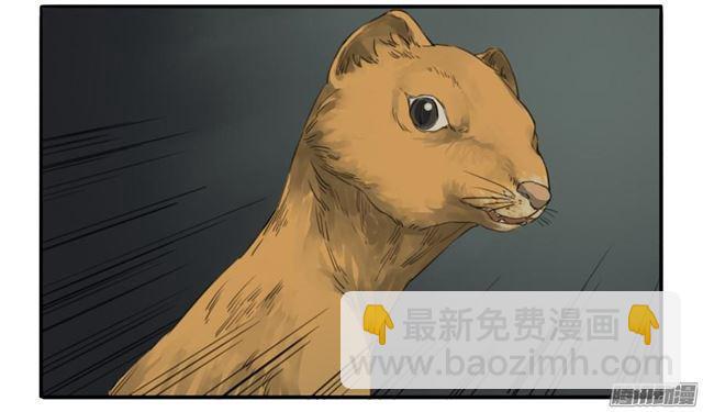 傳武 - 第十八條：見功夫 - 4