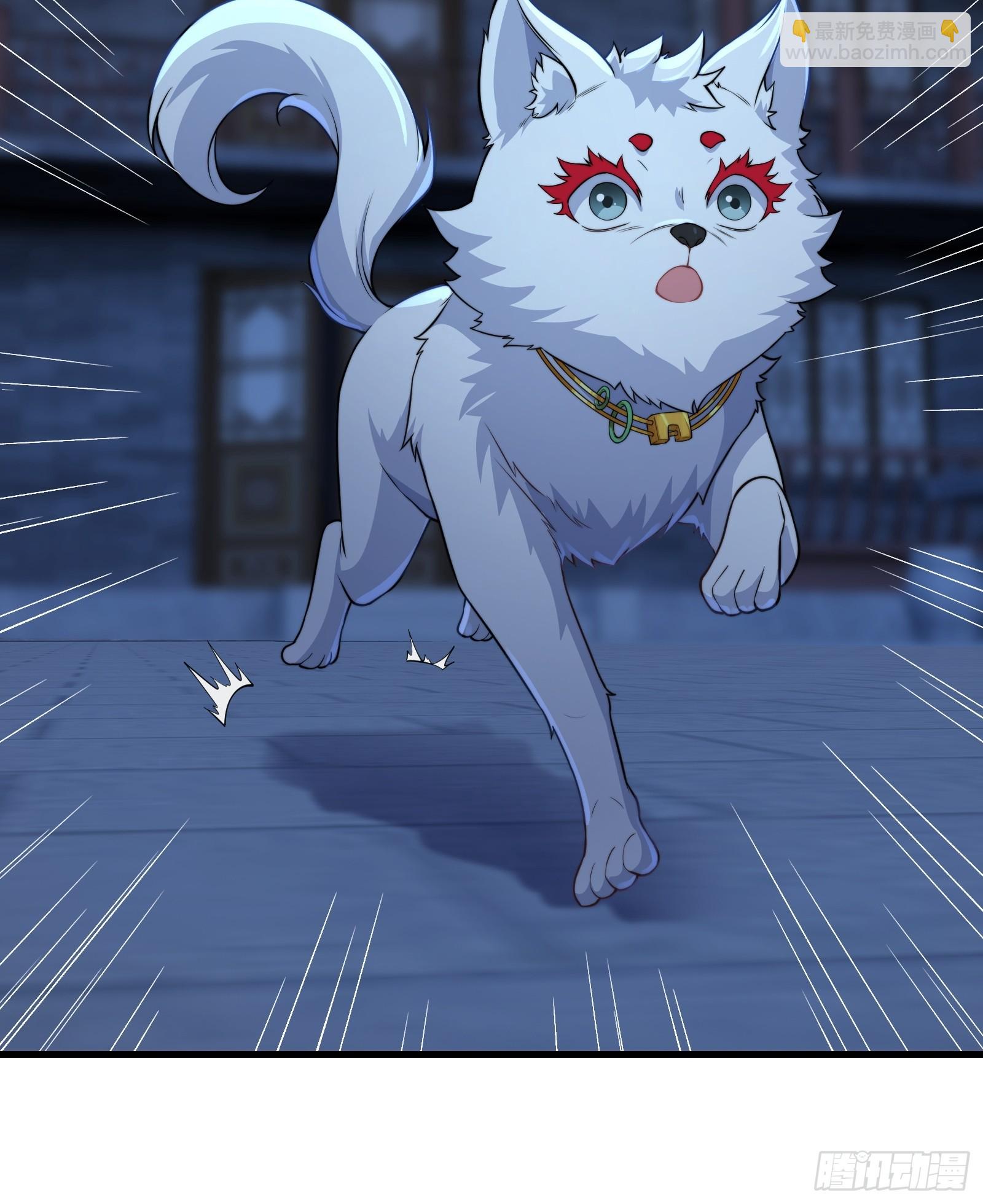 第73话 狗要去哪里(1/2)-第74话