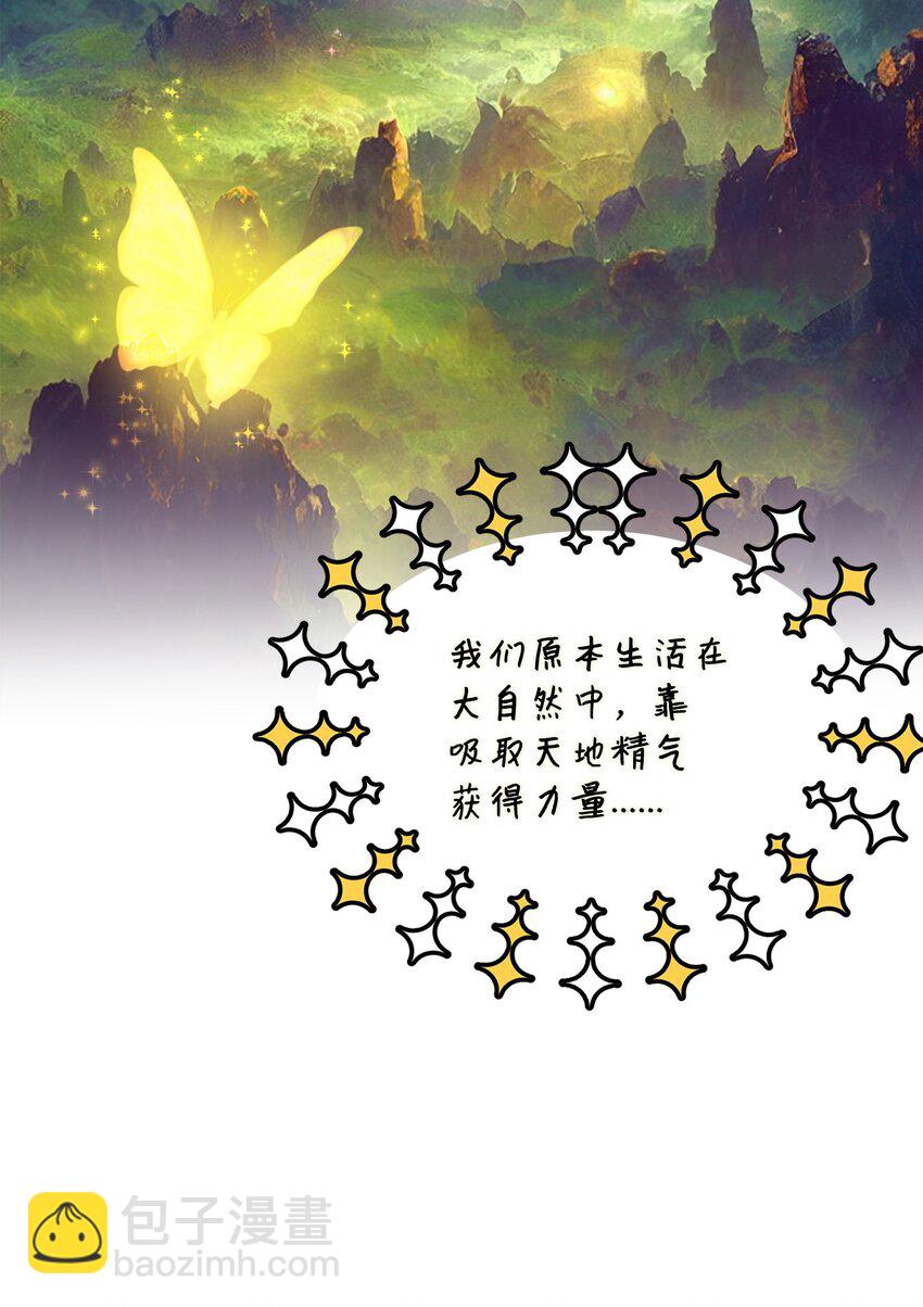 41 波尔鲁的真相(1/2)-第42话