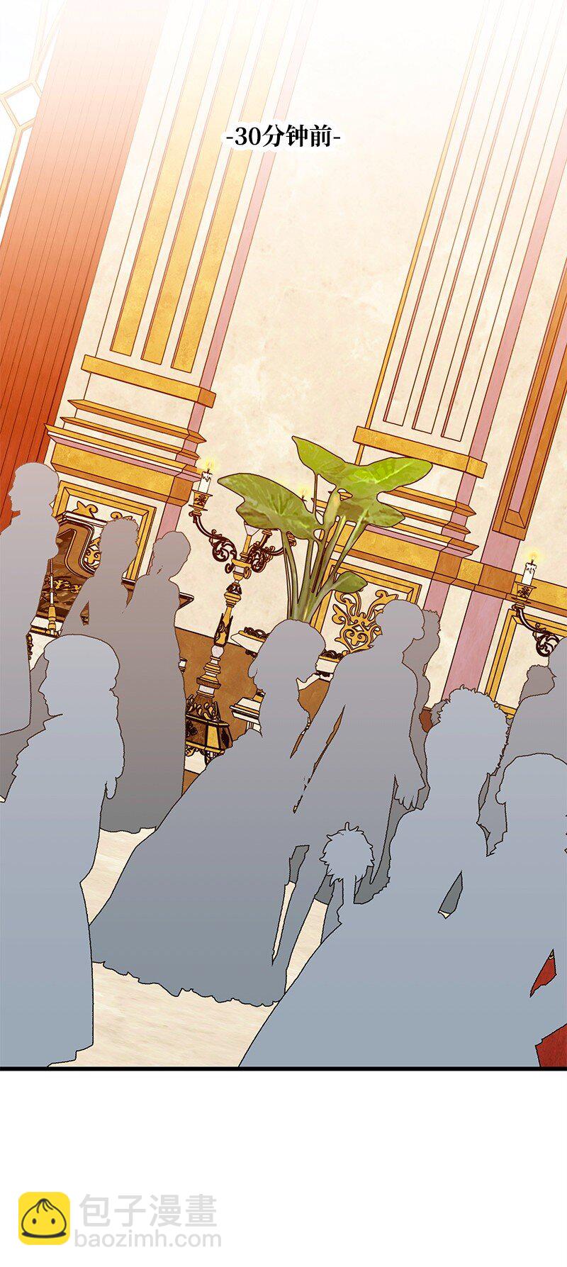 117 正式宣布(1/3)-第118话