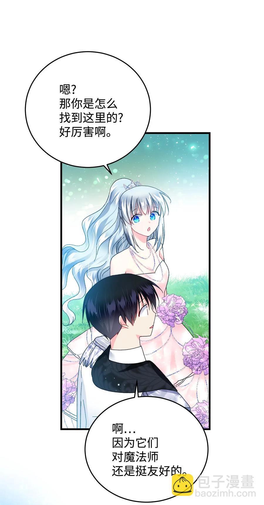 30 魔法师的真爱(1/2)-第30话