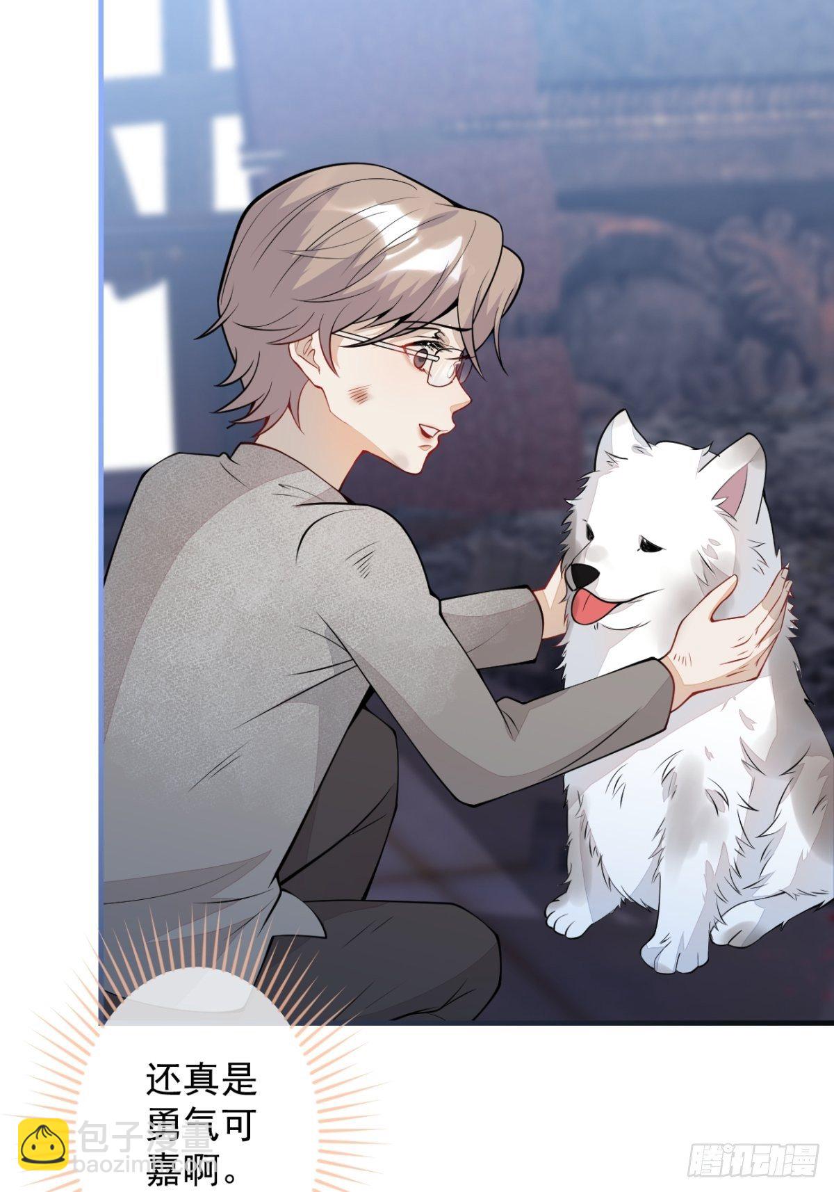 43-试着保护我吧(1/2)-第44话