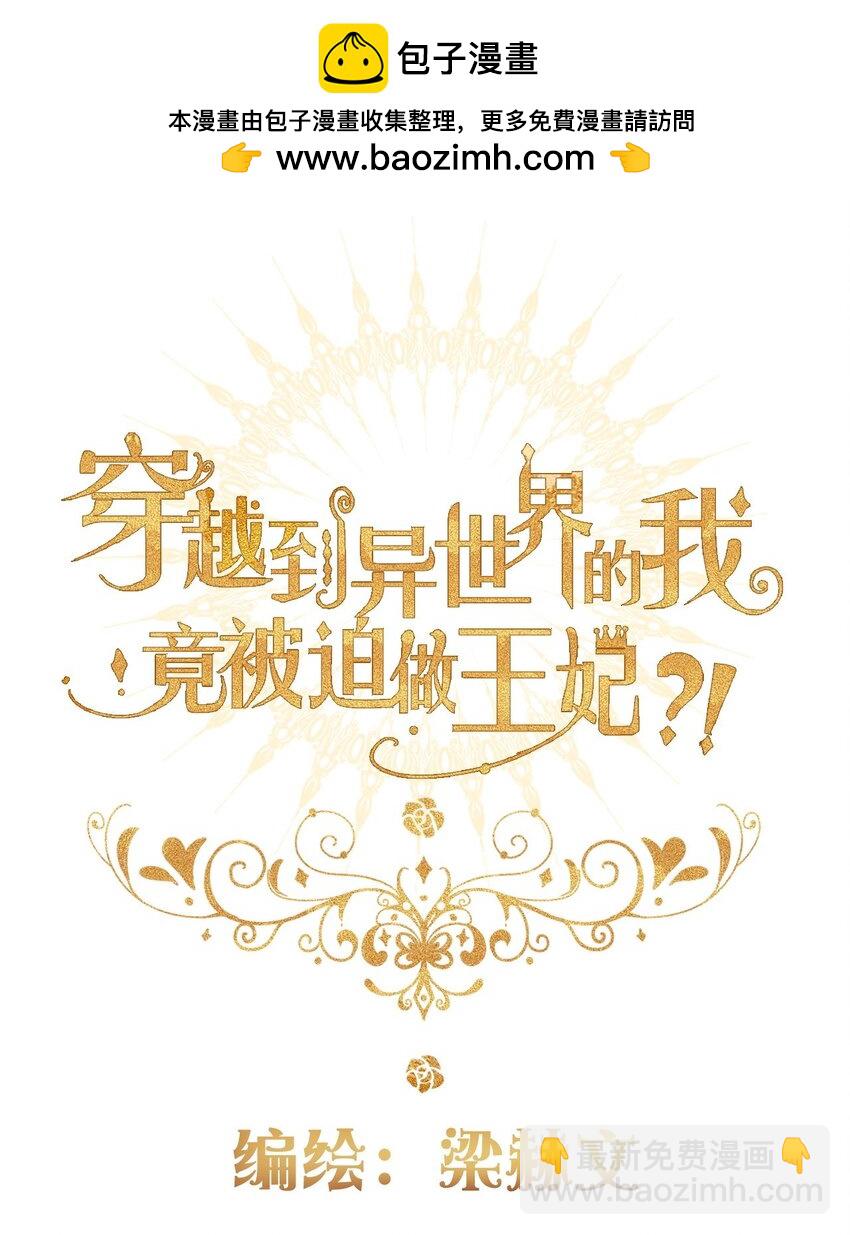 穿越到異世界的我竟被迫做王妃 - 145 客人 - 2
