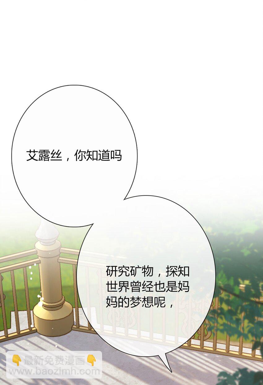 035 艾露丝的过去2(1/2)-第40话