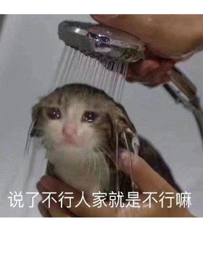 穿越到異世界的我竟被迫做王妃 - 55.1 碎碎念 - 4