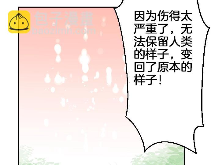 第21话 只有8岁(1/3)-第22话