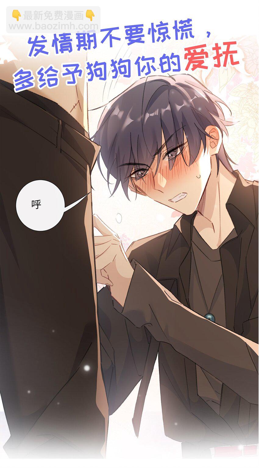 正式预告 剧情预告-第2话