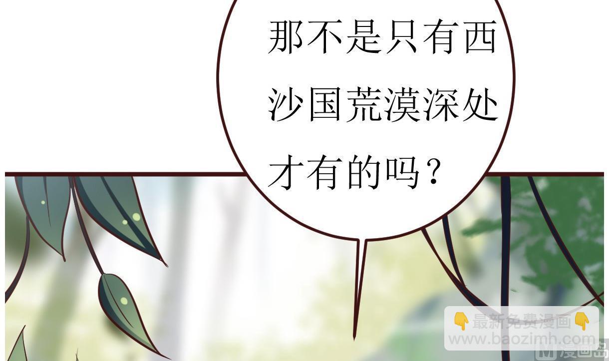 第51话 复活卡(1/2)-第52话