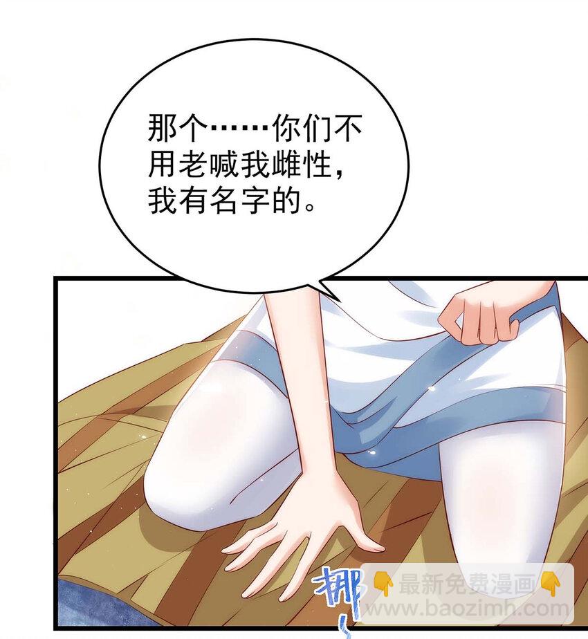 第4话 善良的雌性-第4话