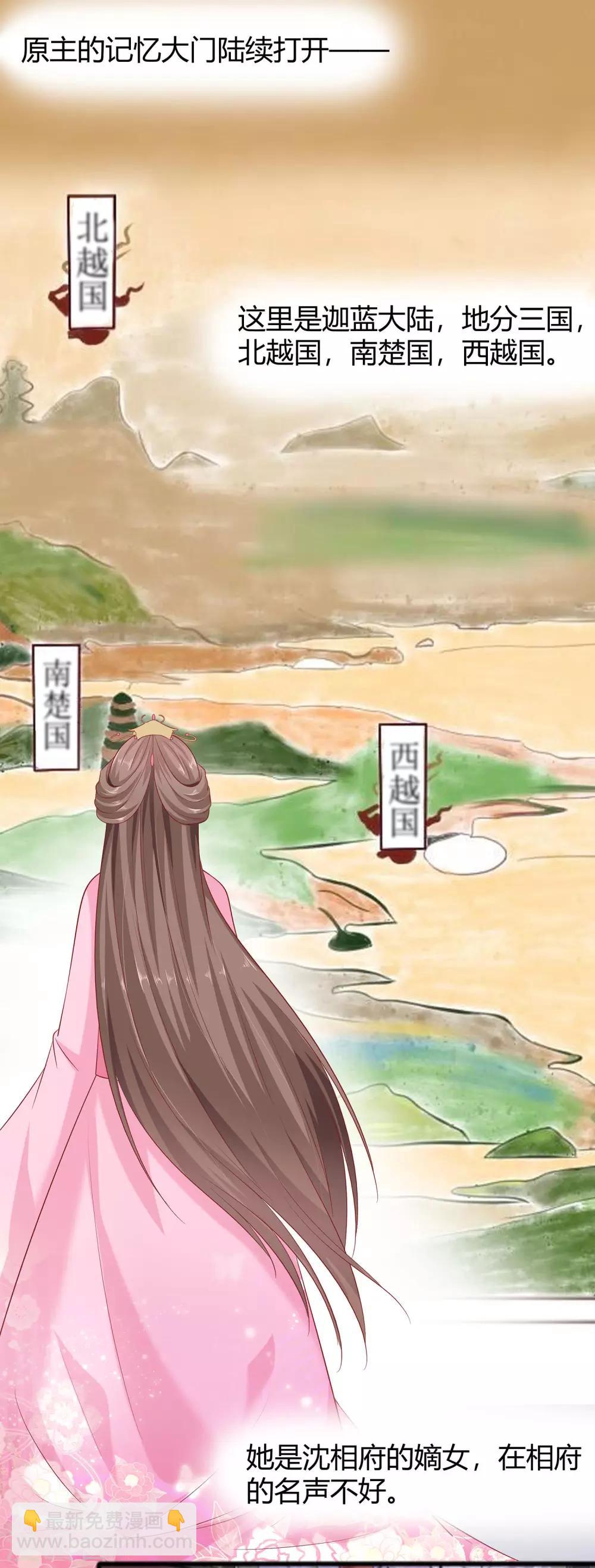 穿越王妃，夫君别找虐 - 002 不断的情 - 3