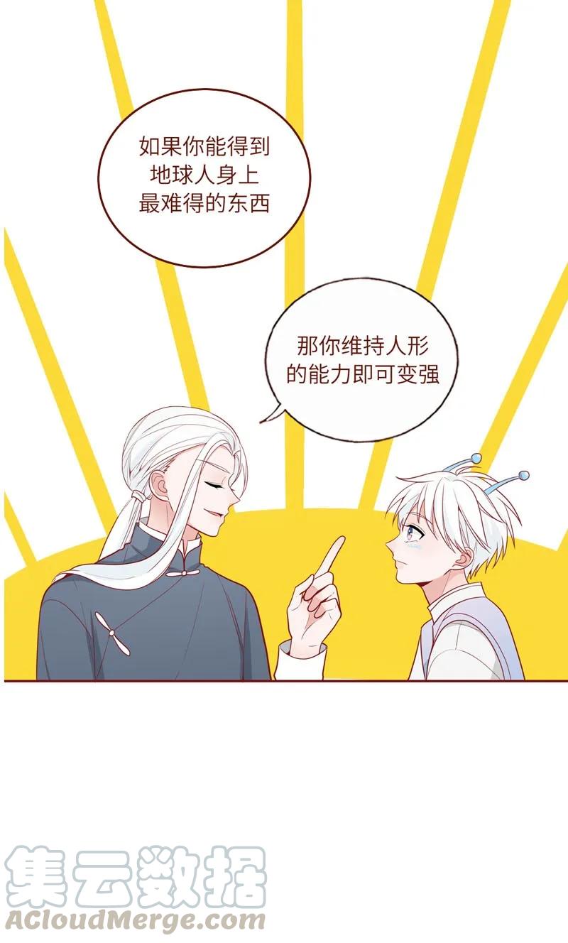 41 勇者之光-第42话