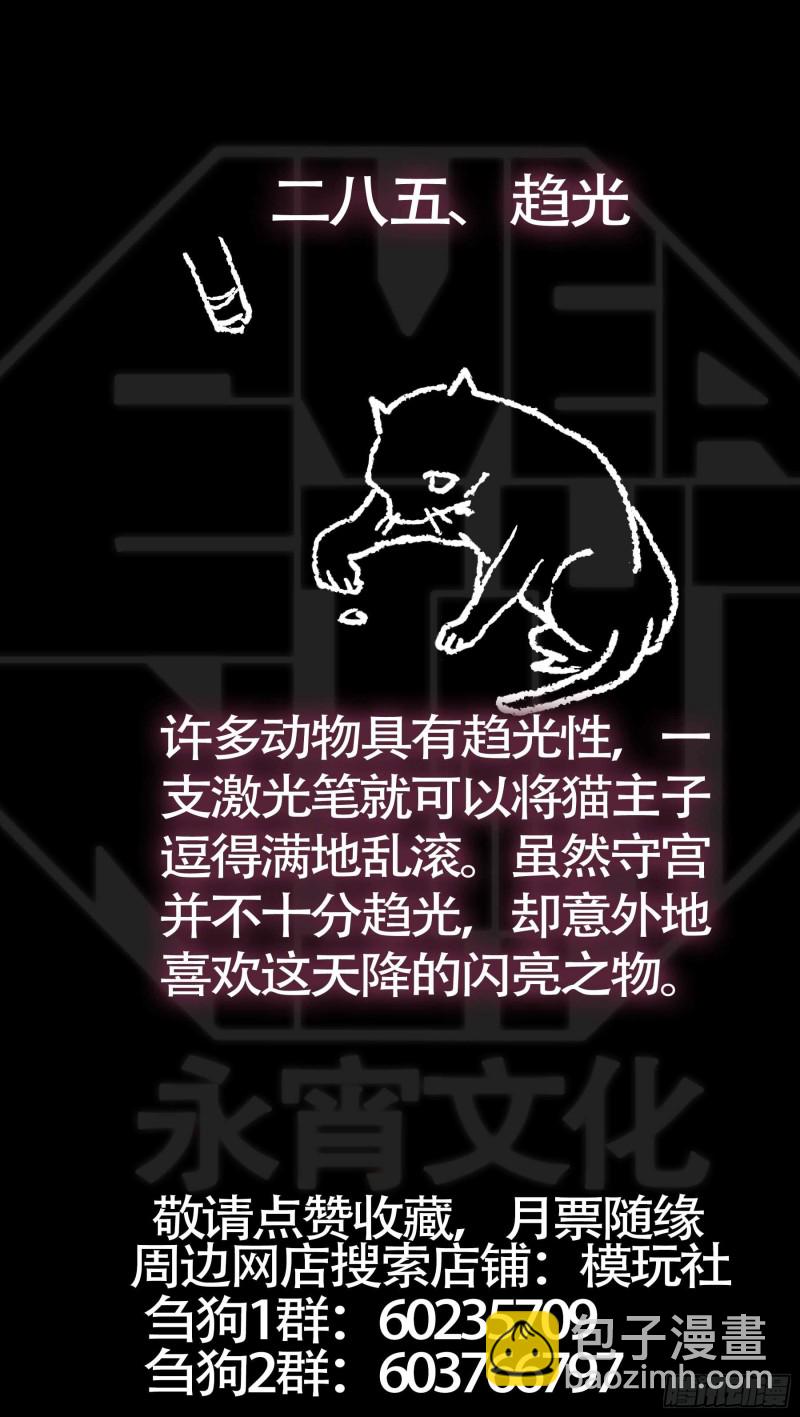 贰捌伍、关心-第272话