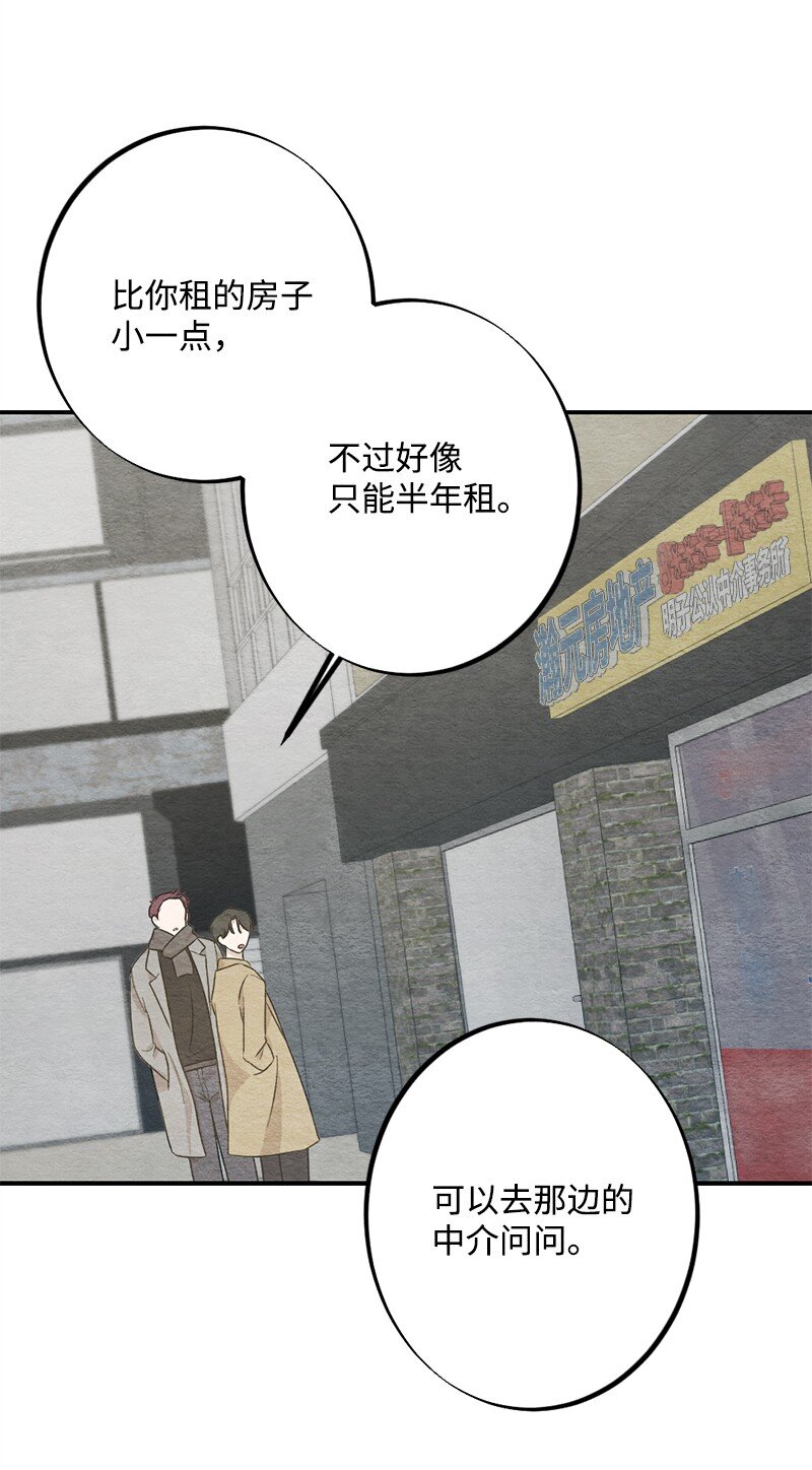 37 都说不是萝卜了(1/2)-第38话