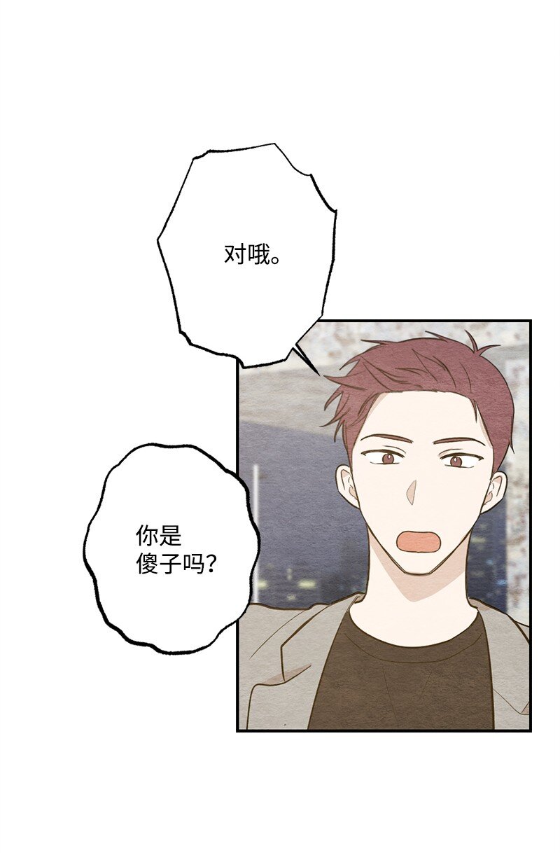 37 都说不是萝卜了(1/2)-第38话