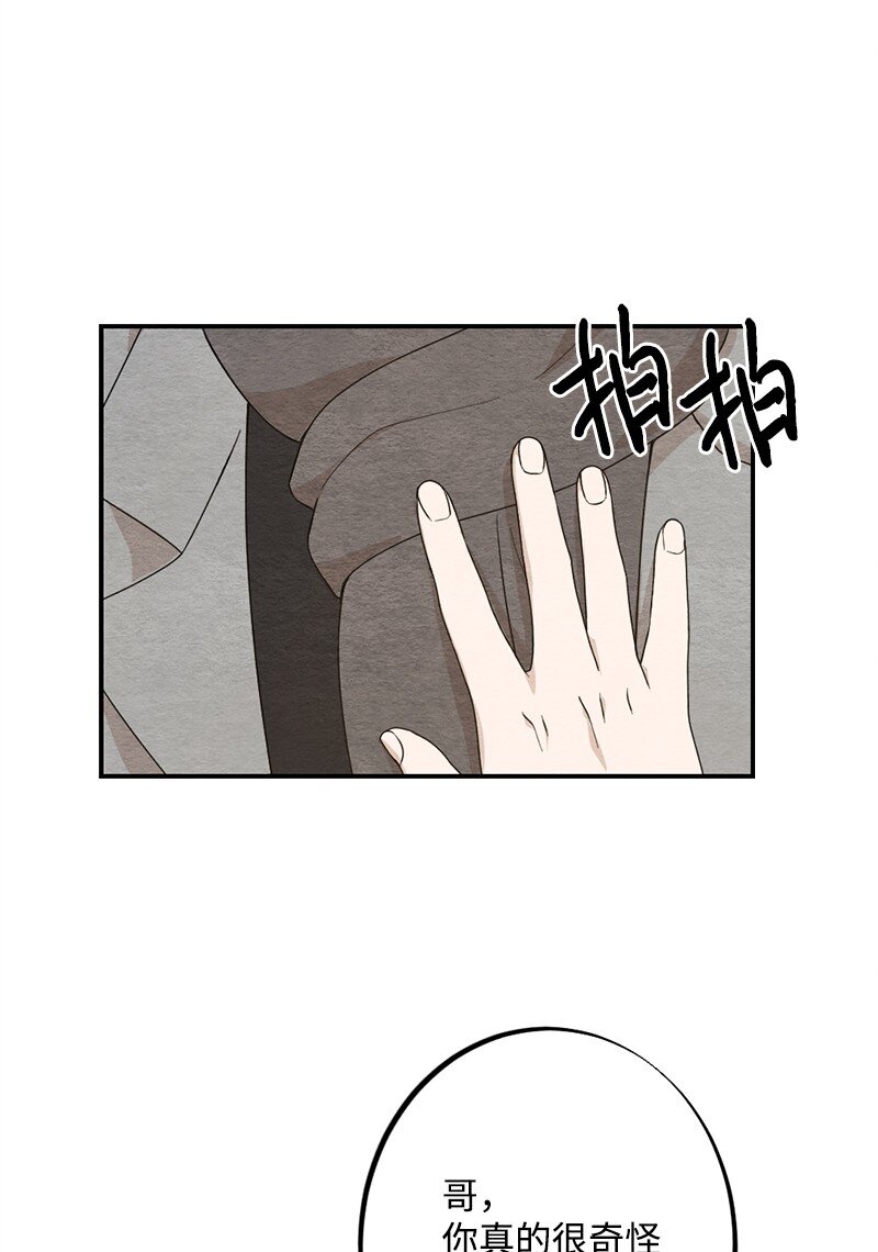 37 都说不是萝卜了(1/2)-第38话