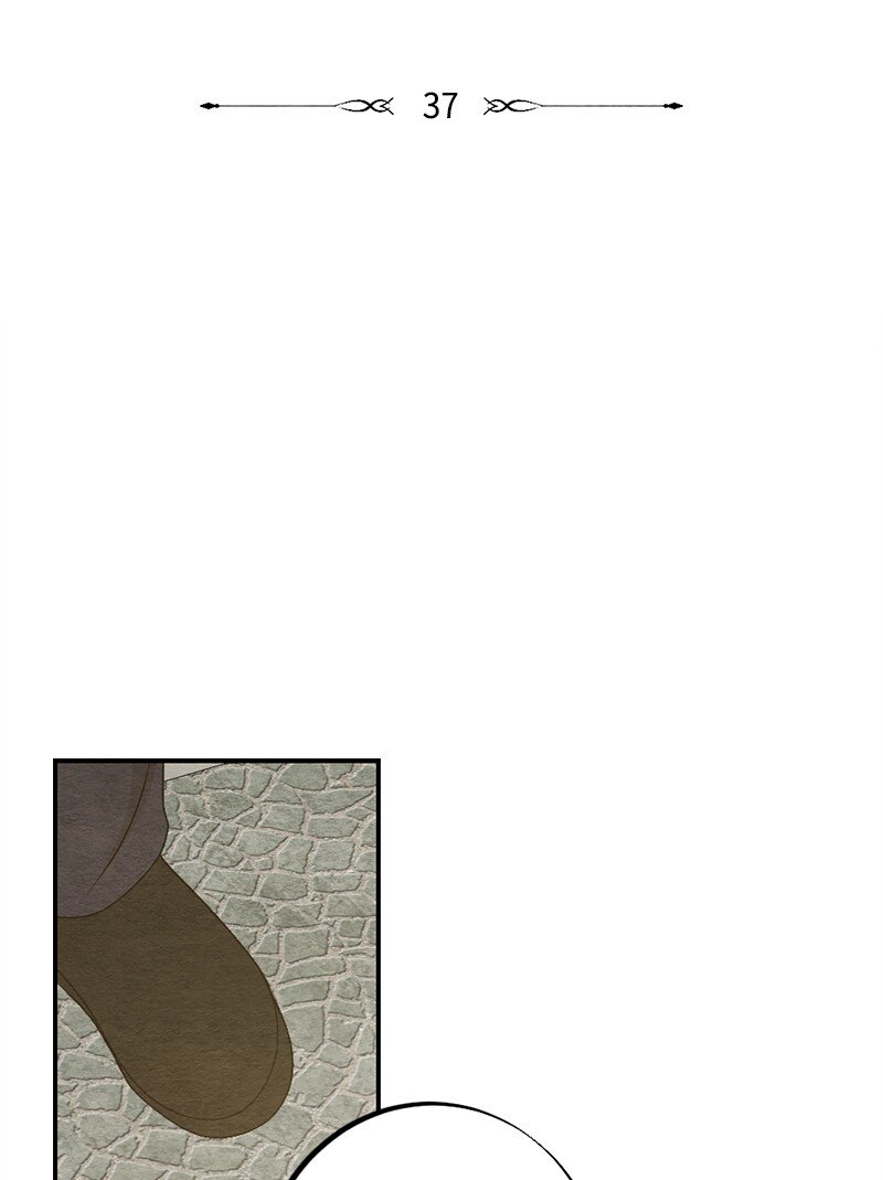 37 都说不是萝卜了(1/2)-第38话