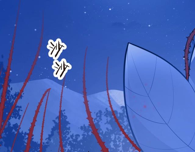 第23话 骑士登场(1/5)-第24话