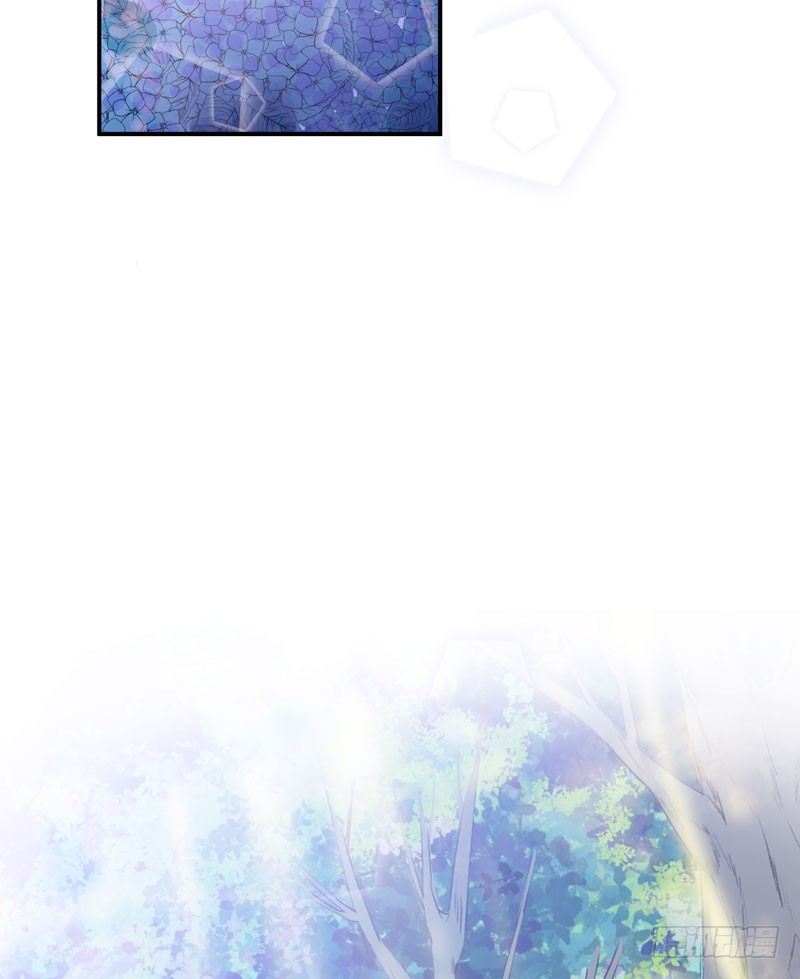 迷幻森林，神奇的暗号-第34话