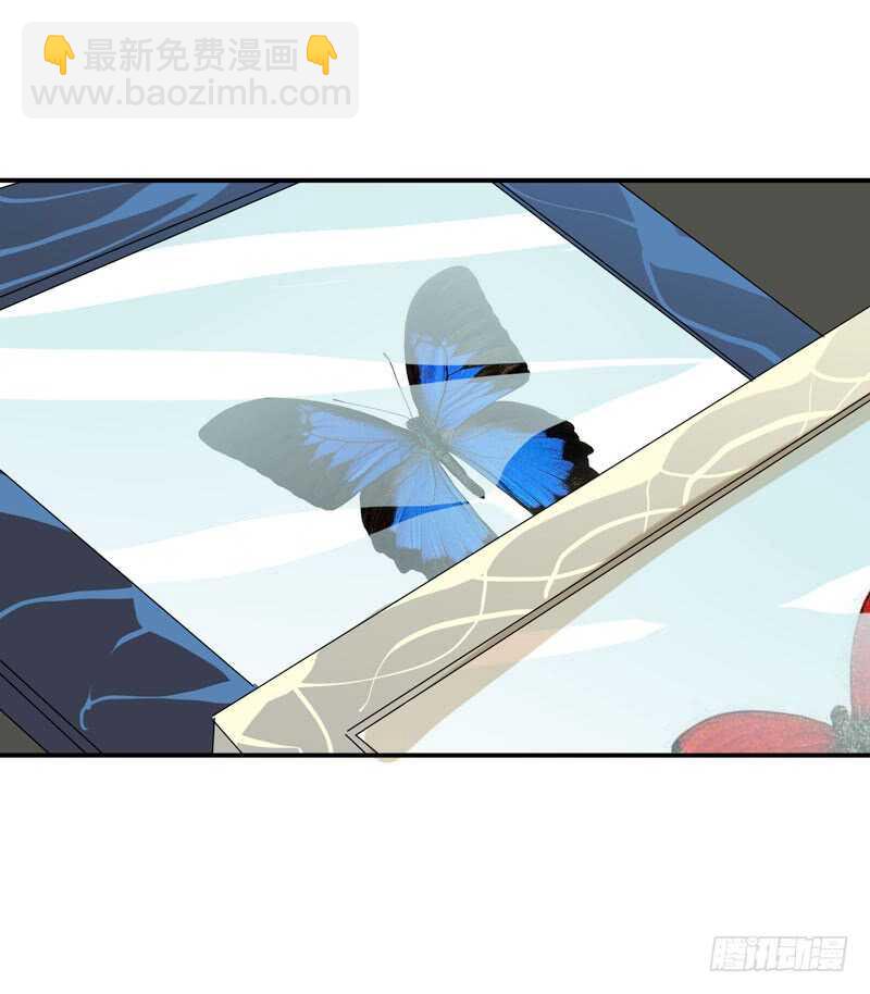 盒子里的蝴蝶-第54话