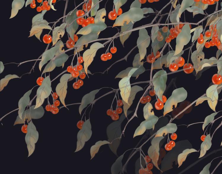 第1话 阴差阳错(1/4)-第2话