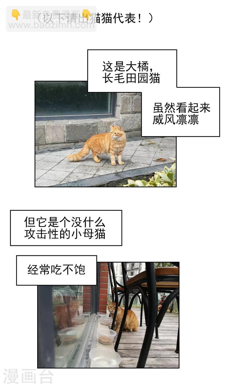 純情陸少 - 第40話 和解(2/2) - 3