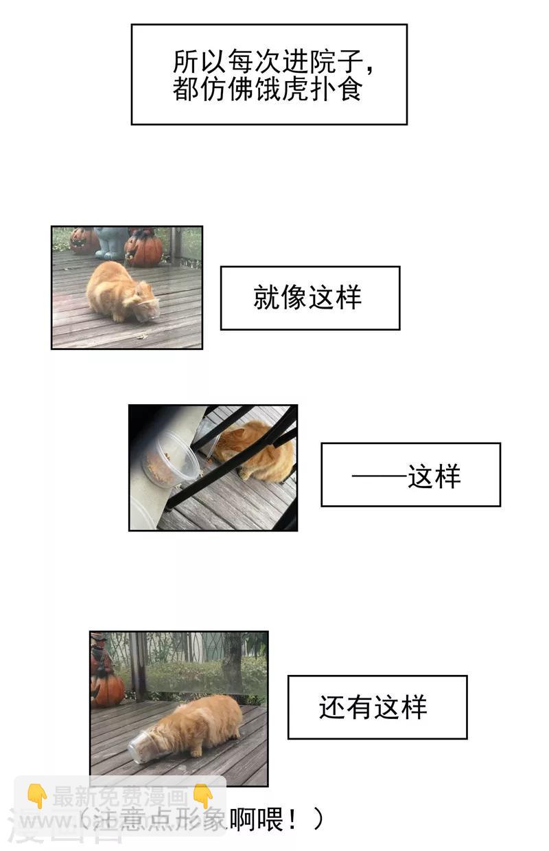 純情陸少 - 第40話 和解(2/2) - 1