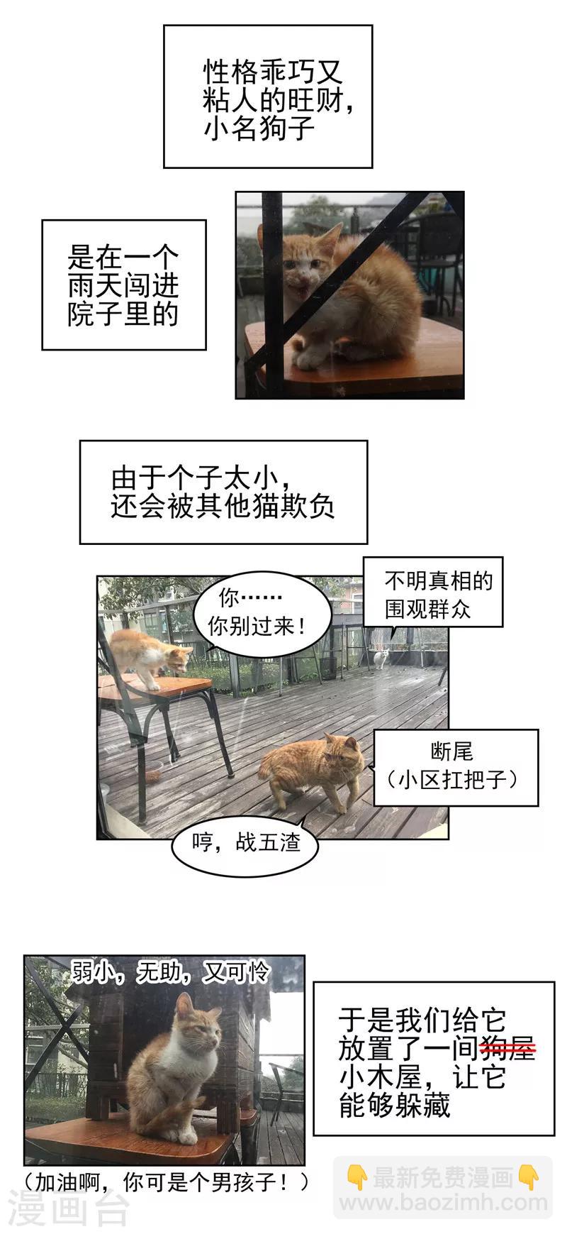 純情陸少 - 第40話 和解(2/2) - 2