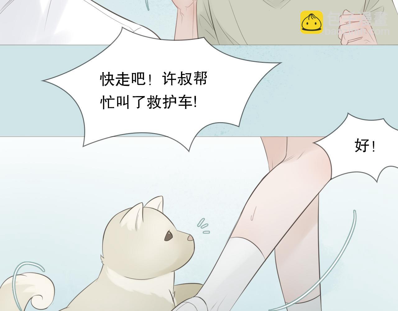 消失的夏风(1/2)-第16话