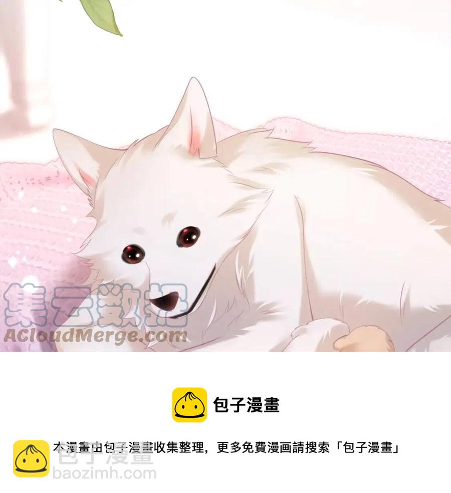 此情渺渺，終於寵到你 - 第41話 這該不是……要生了？(2/2) - 5