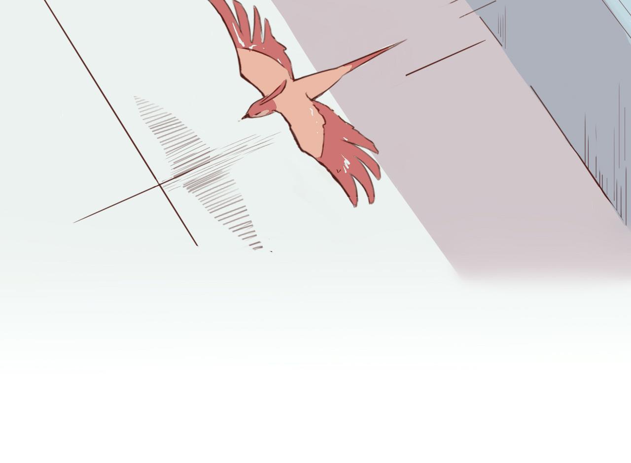 此山彼雲間 - 會說話的鳥 - 7