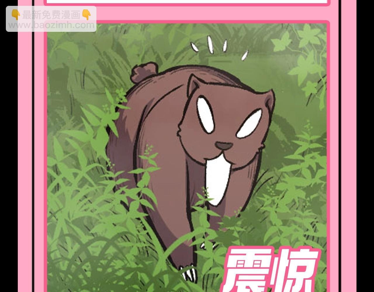 從大樹開始的進化 - 第7期 動物表情包來啦！！ - 2