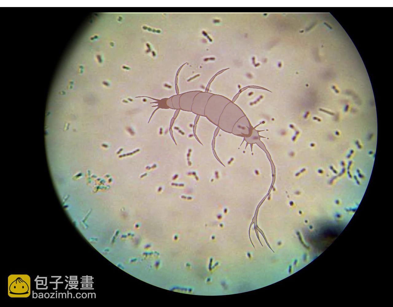 從大樹開始的進化 - 第143話 進階的九尾(3/3) - 3