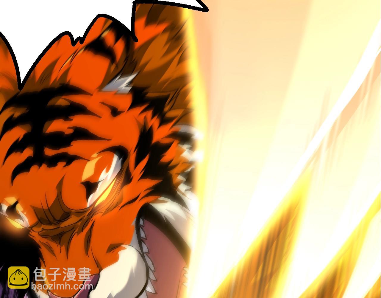 從大樹開始的進化 - 第149話 閃光戰虎(3/4) - 4