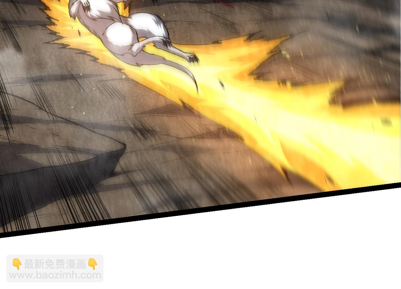 從大樹開始的進化 - 第149話 閃光戰虎(2/4) - 8