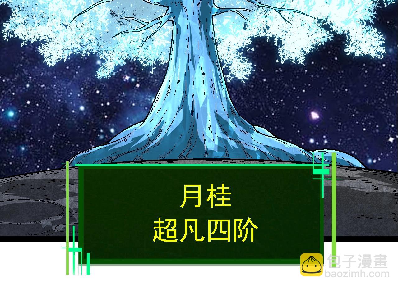 從大樹開始的進化 - 第251話 鋒芒(1/3) - 4