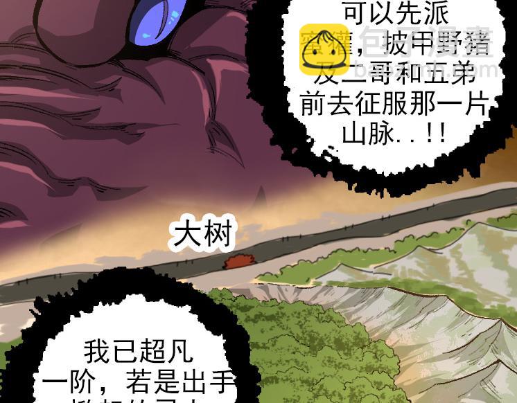 從大樹開始的進化 - 第40話 作戰前夕(1/4) - 4