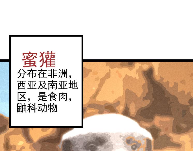 第26话 大树出现(1/4)-第26话