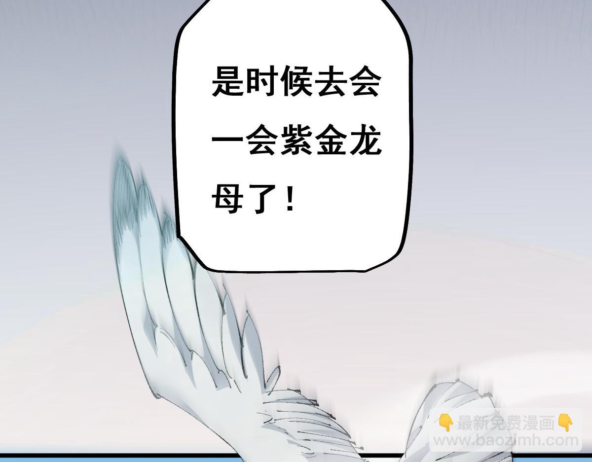 第15话 龙母的礼物与骑士团(1/3)-第78话